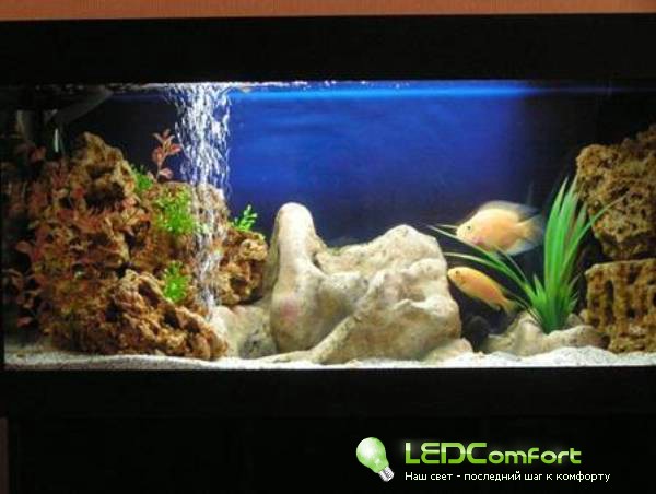 Преимущества освещения на светодиодах для аквариумов